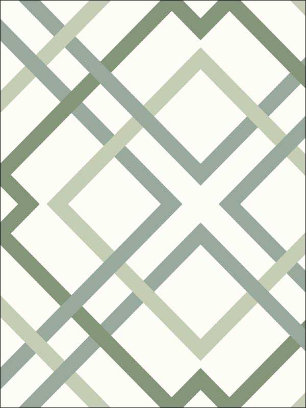 Saltire Emile Lattice fabric in green color - pattern number 2901-25437 - by A Street Prints in the Perennial collection