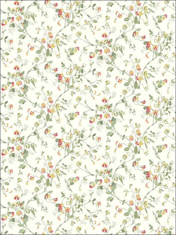 Sweet Pea fabric in pink and yellow color - pattern number 100/6027.CS.0 - by Cole and Son in the Botanical Botanica collection