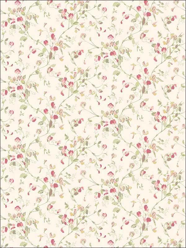 Sweet Pea fabric in pink color - pattern number 100/6028.CS.0 - by Cole and Son in the Botanical Botanica collection