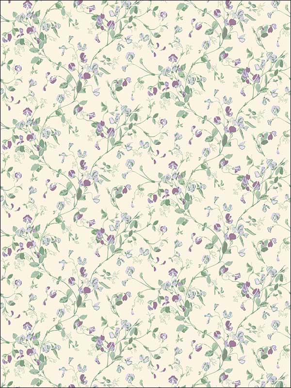 Sweet Pea fabric in violet color - pattern number 100/6030.CS.0 - by Cole and Son in the Botanical Botanica collection
