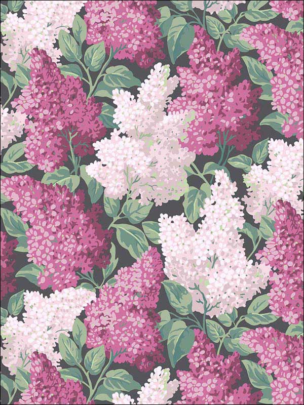 Lilac fabric in magenta blush charcoal color - pattern number 115/1001.CS.0 - by Cole and Son in the Botanical Botanica collection