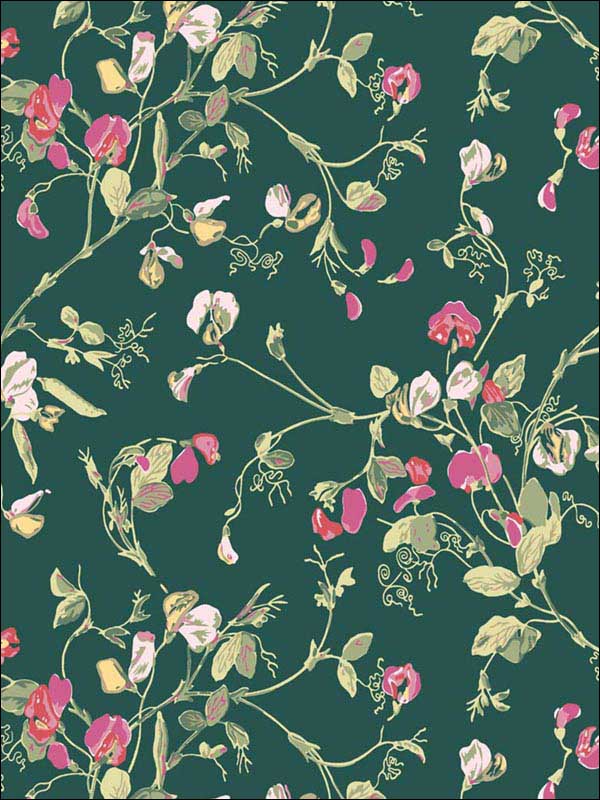 Sweet Pea fabric in cerise magenta viridian color - pattern number 115/11033.CS.0 - by Cole and Son in the Botanical Botanica collection