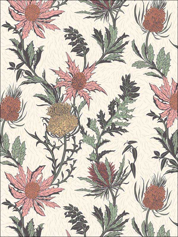 Thistle fabric in a pink orange parch color - pattern number 115/14043.CS.0 - by Cole and Son in the Botanical Botanica collection