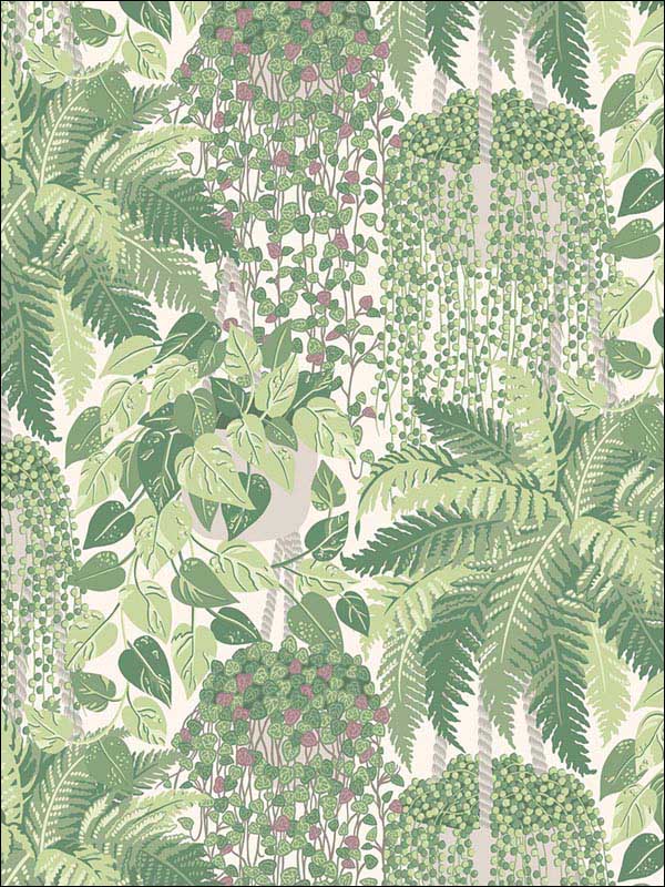 Fern wallpaper in leaf green and olive color - pattern number 115/7021.CS.0 - by Cole and Son in the Botanical Botanica collection