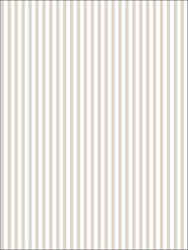 6mm Stripe fabric in greige fawn neutral color - pattern number ST36905 - by Patton Norwall in the Simply Stripes 3 collection