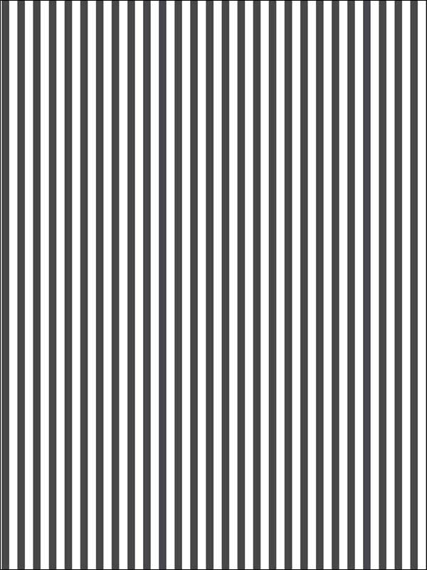 6mm Stripe fabric in black ebony color - pattern number ST36906 - by Patton Norwall in the Simply Stripes 3 collection
