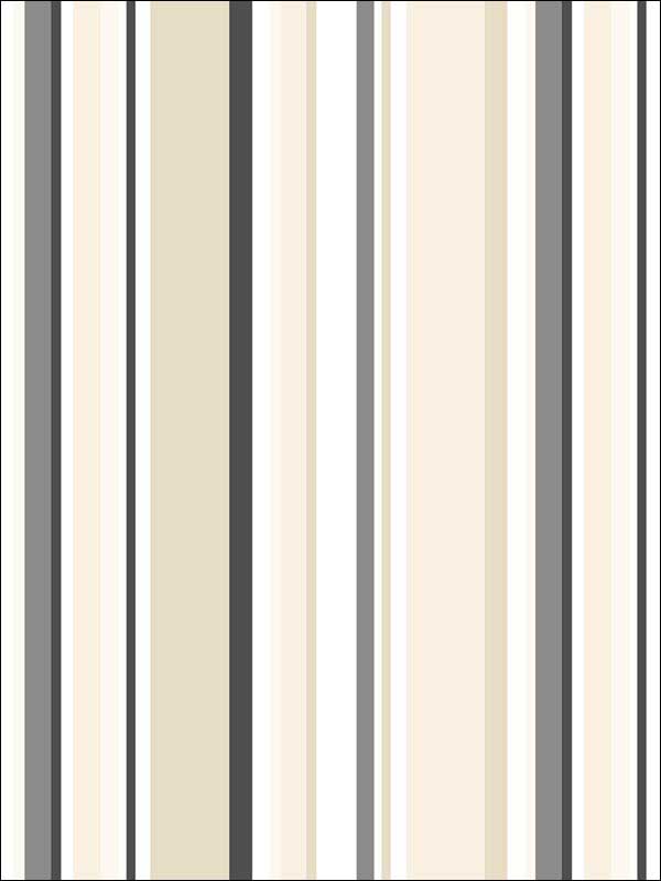 Step Stripe fabric in black tan taupe ebony color - pattern number ST36910 - by Patton Norwall in the Simply Stripes 3 collection