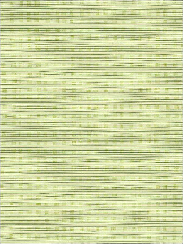 Weave wallpaper in green apple color - pattern number DA61304 - by Seabrook in the Day Dreamers collection