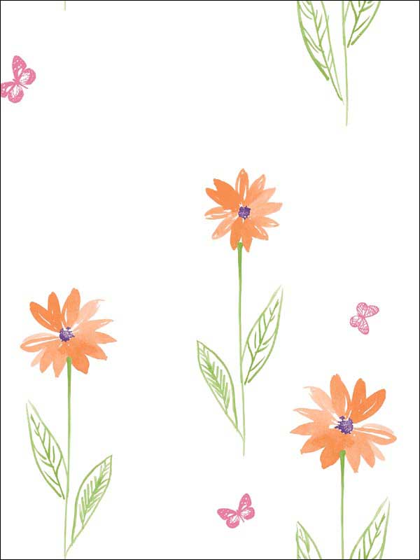 Daisy Field wallpaper in orange and lime color - pattern number DA62603 - by Seabrook in the Day Dreamers collection
