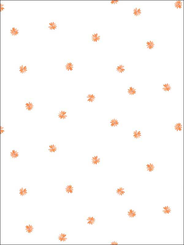 Little Daisy fabric in orange color - pattern number DA62813 - by Seabrook in the Day Dreamers collection