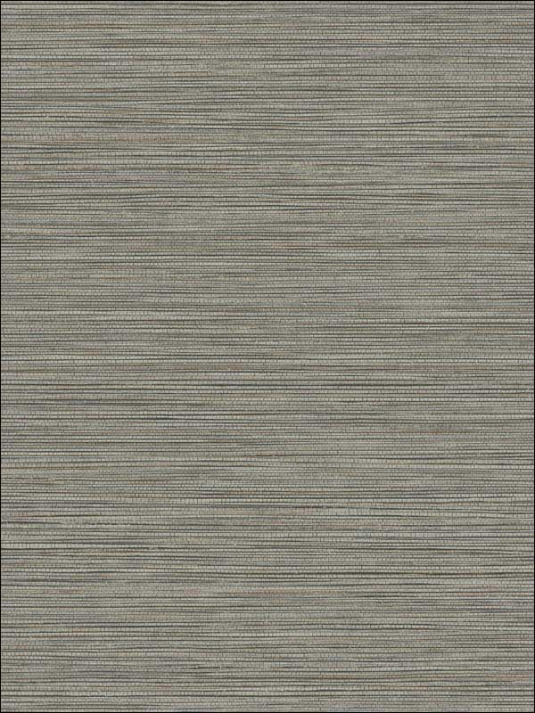 Grasslands fabric in charcoal color - pattern number BV30100 - by Seabrook in the Texture Gallery collection