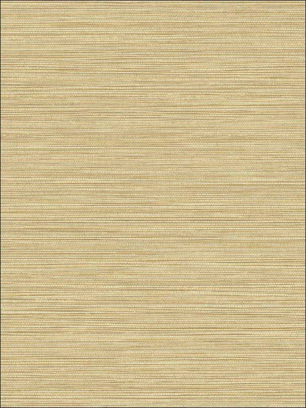 Grasslands fabric in sandy shores color - pattern number BV30103 - by Seabrook in the Texture Gallery collection