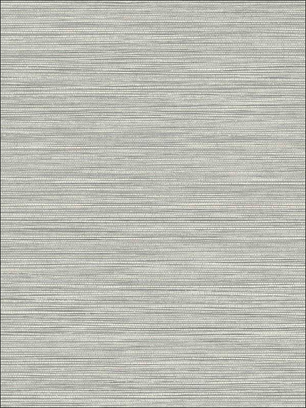 Grasslands fabric in cove gray color - pattern number BV30108 - by Seabrook in the Texture Gallery collection