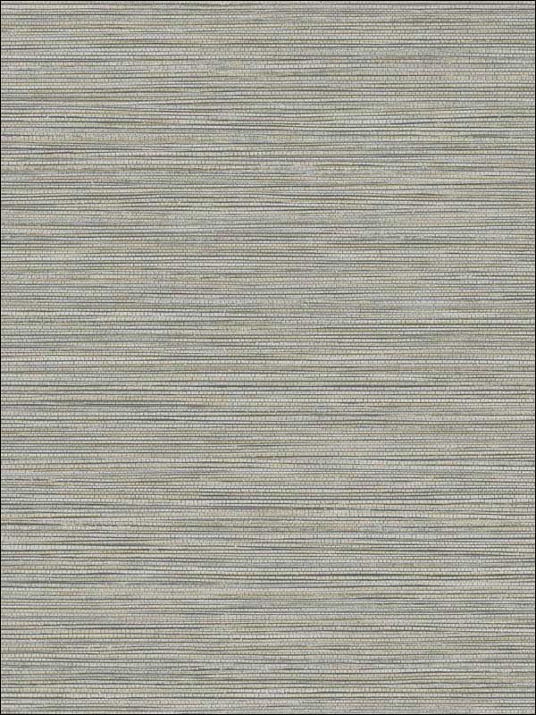Grasslands fabric in graphite color - pattern number BV30118 - by Seabrook in the Texture Gallery collection