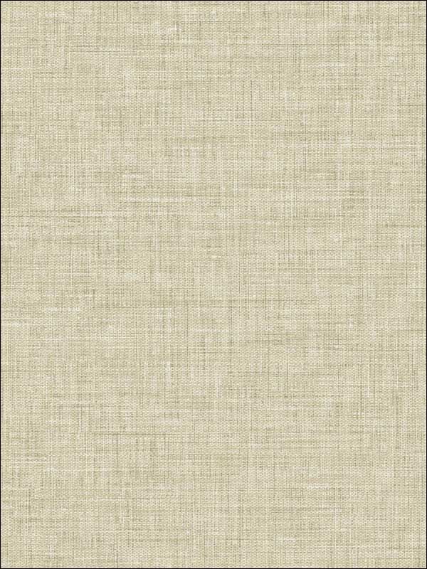 Easy Linen fabric in mindful gray color - pattern number BV30207 - by Seabrook in the Texture Gallery collection