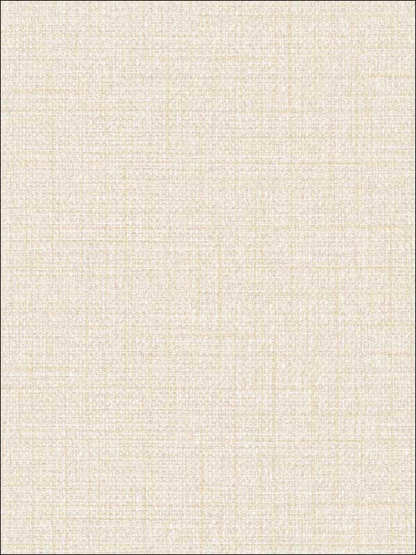 Woven Raffia wallpaper in hidden cove color - pattern number BV30315 - by Seabrook in the Texture Gallery collection