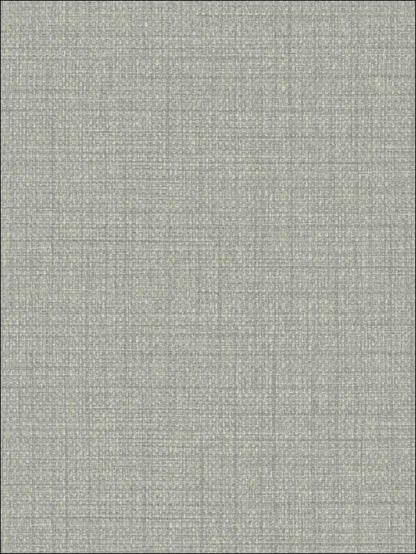 Woven Raffia wallpaper in harbor grey color - pattern number BV30318 - by Seabrook in the Texture Gallery collection
