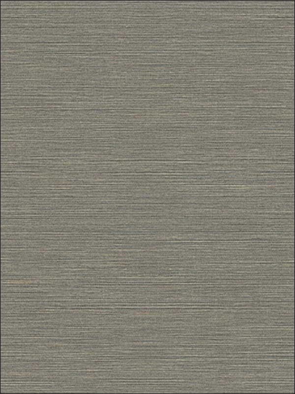 Coastal Hemp fabric in graphite color - pattern number BV30410 - by Seabrook in the Texture Gallery collection