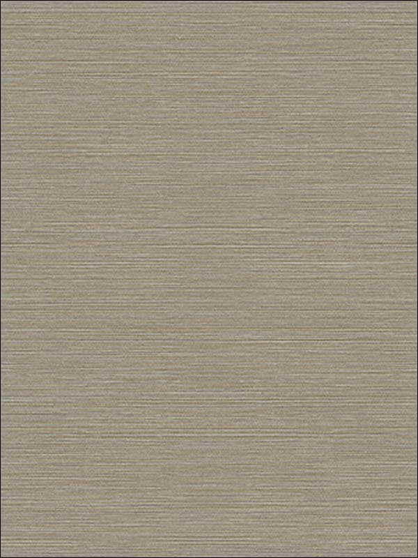 Coastal Hemp fabric in pavestone color - pattern number BV30416 - by Seabrook in the Texture Gallery collection