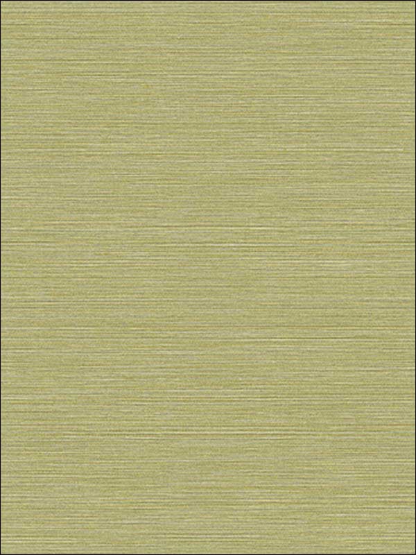 Coastal Hemp fabric in lime moss color - pattern number BV30424 - by Seabrook in the Texture Gallery collection