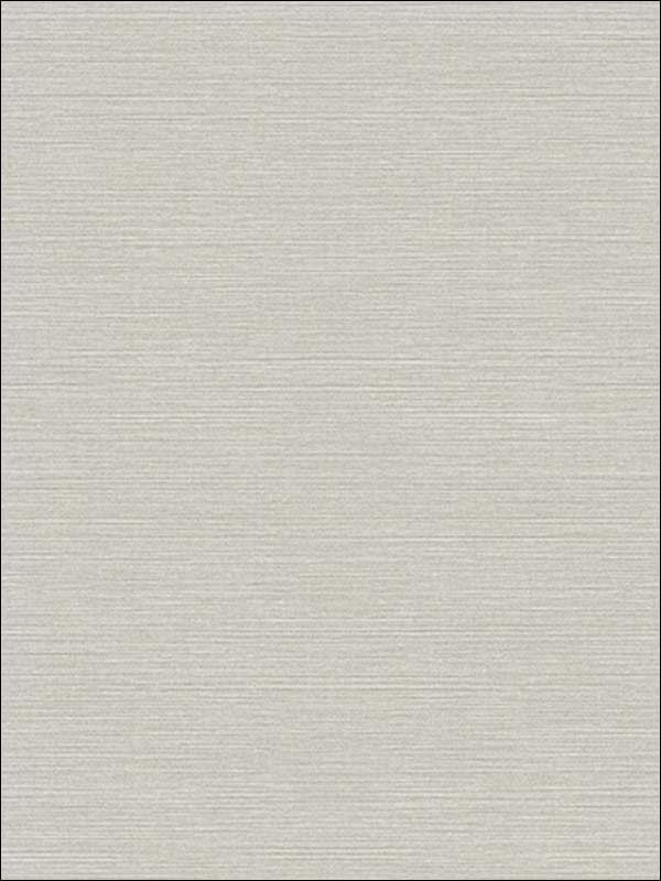Coastal Hemp fabric in cliffside color - pattern number BV30438 - by Seabrook in the Texture Gallery collection