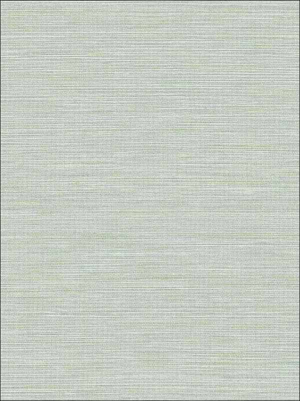 Coastal Hemp fabric in tender green color - pattern number BV30444 - by Seabrook in the Texture Gallery collection