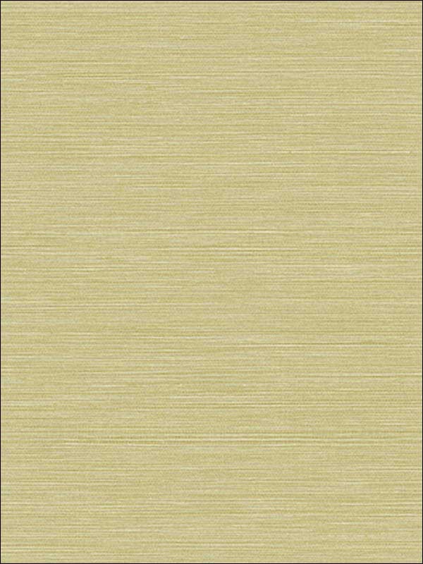 Coastal Hemp fabric in aloe color - pattern number BV30454 - by Seabrook in the Texture Gallery collection