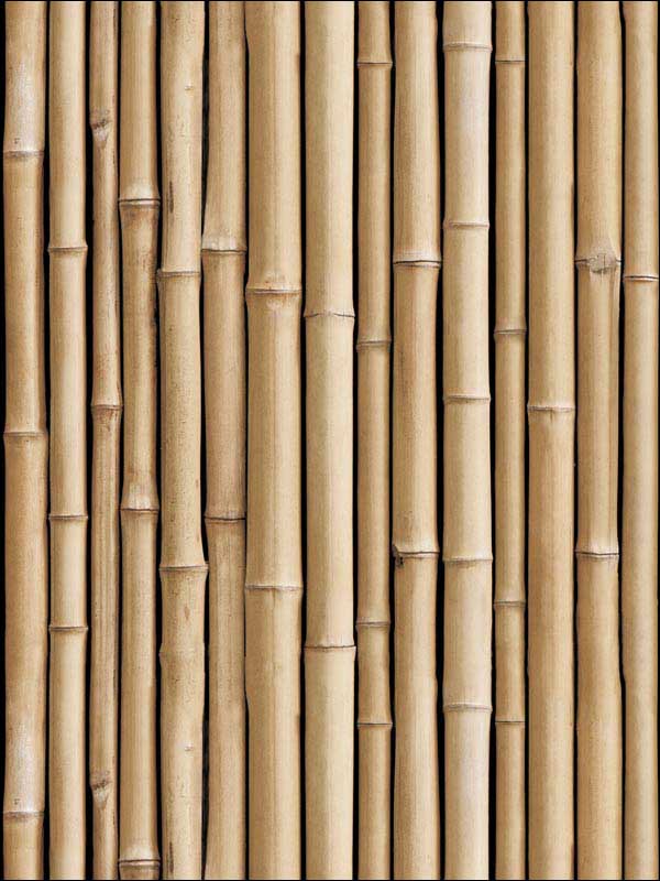 Bamboo Peel and Stick wallpaper in brown color - pattern number RMK11434WP - by York in the Peel and Stick Wallpaper by York collection