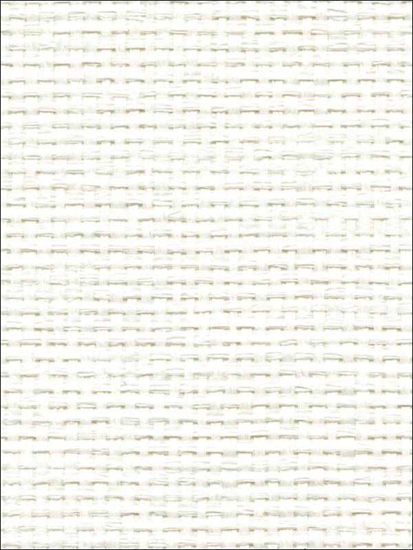 Panama Weave fabric in white color - pattern number WNR1102.WT.0 - by Winfield Thybony in the Natural Resources Vol I collection