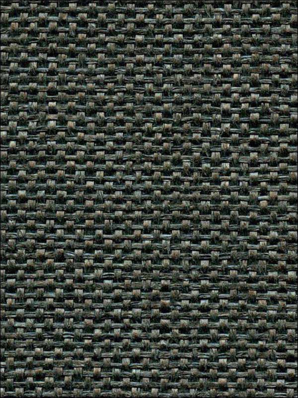 Panama Weave fabric in licorice color - pattern number WNR1162.WT.0 - by Winfield Thybony in the Natural Resources Vol I collection