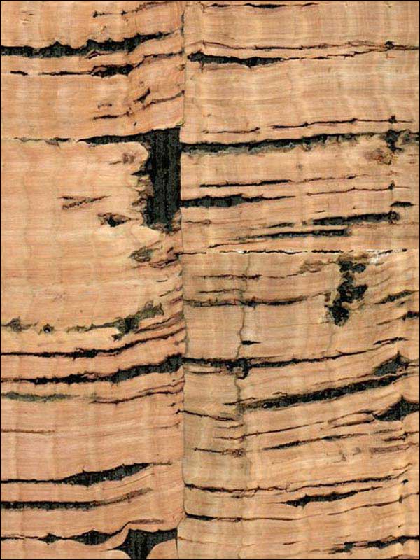 Gaudi fabric in natural ember color - pattern number WNR1167.WT.0 - by Winfield Thybony in the Natural Resources Vol I collection