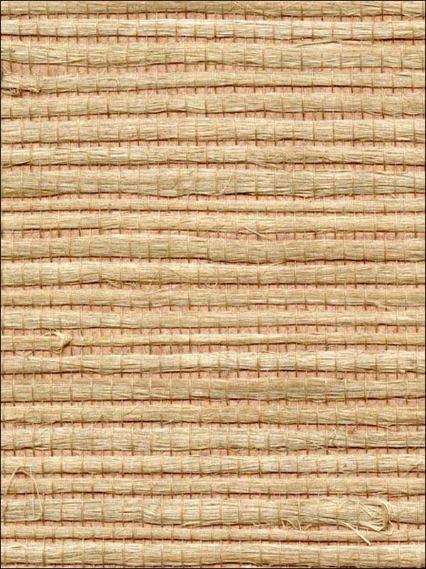 Bengali fabric in umber color - pattern number WNR1170.WT.0 - by Winfield Thybony in the Natural Resources Vol I collection