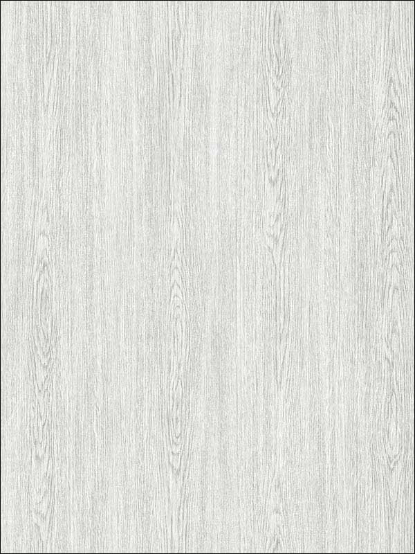 Plain Wood fabric in plan wood soft grey color - pattern number RM90600 - by Casa Mia in the Graphite collection