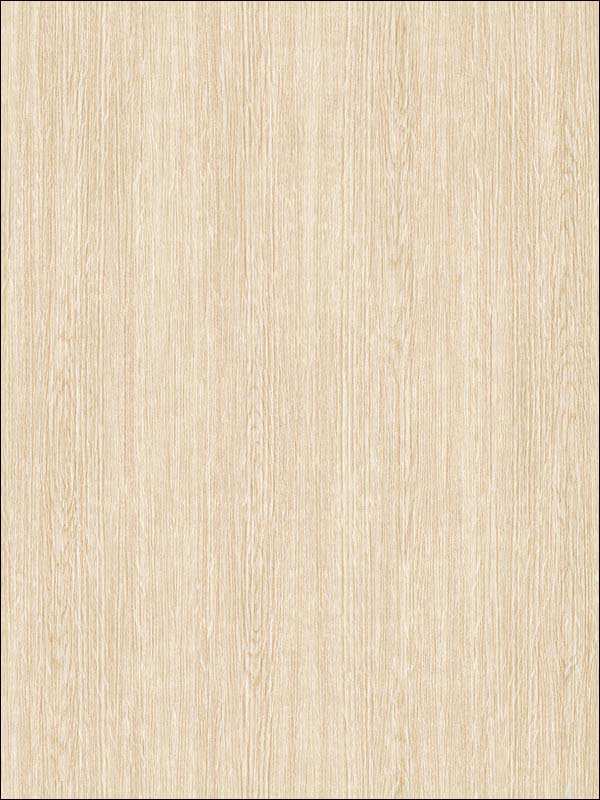 Plain Wood fabric in plan wood send color - pattern number RM90605 - by Casa Mia in the Graphite collection