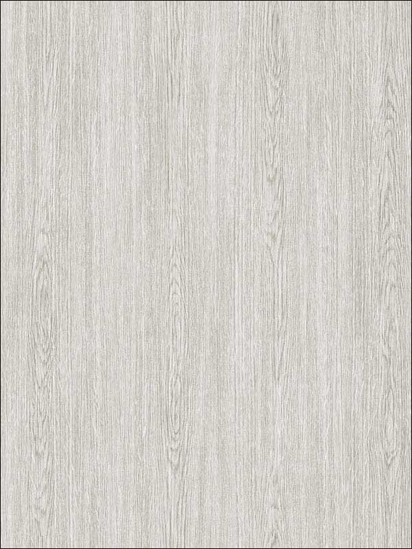 Plain Wood fabric in plan wood grey color - pattern number RM90610 - by Casa Mia in the Graphite collection