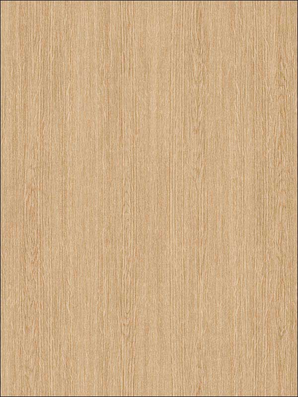 Plain Wood fabric in plan wood soft brown color - pattern number RM90615 - by Casa Mia in the Graphite collection
