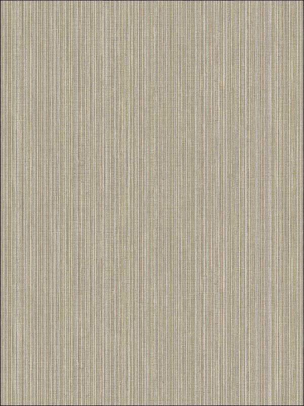 Fil Pose fabric in soft brown color - pattern number RM90806 - by Casa Mia in the Graphite collection