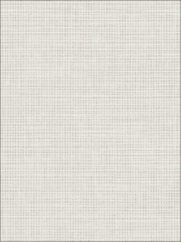 Grasscloth Effect wallpaper in soft grey color - pattern number RM90907 - by Casa Mia in the Graphite collection