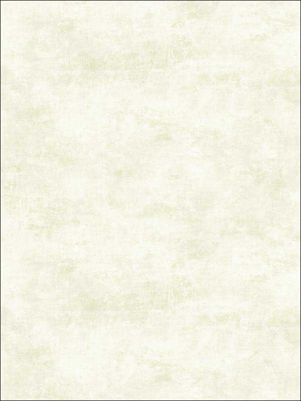 Faux Texture fabric in soft green color - pattern number RM51902 - by Casa Mia in the Opal collection