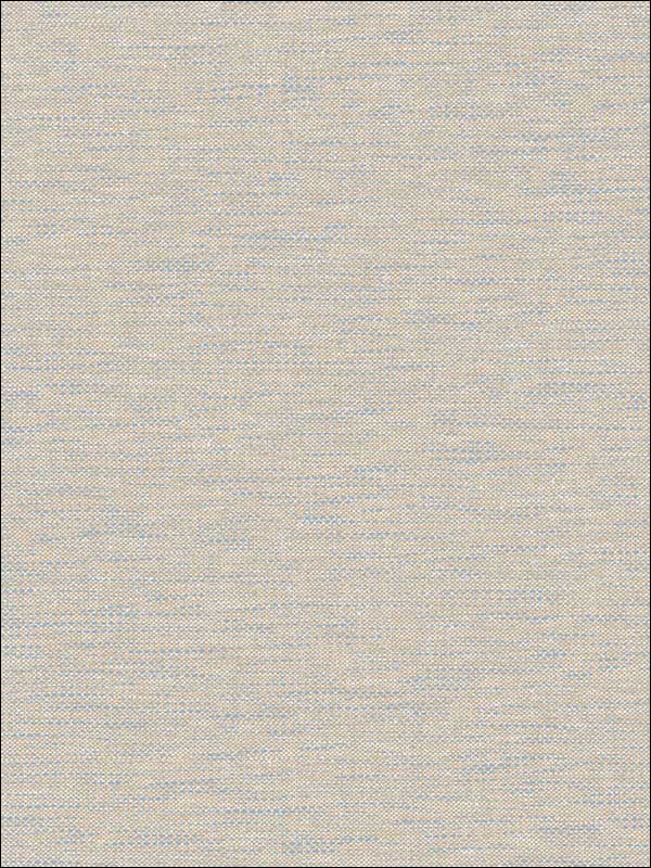 Textile Texture fabric in grey color - pattern number RM80202 - by Casa Mia in the Quartz collection