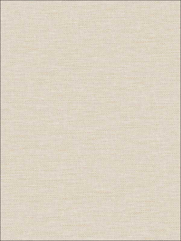 Textile Texture fabric in tortora color - pattern number RM80206 - by Casa Mia in the Quartz collection