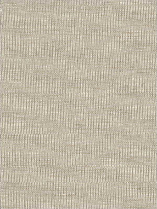 Textile Texture fabric in beige color - pattern number RM80207 - by Casa Mia in the Quartz collection