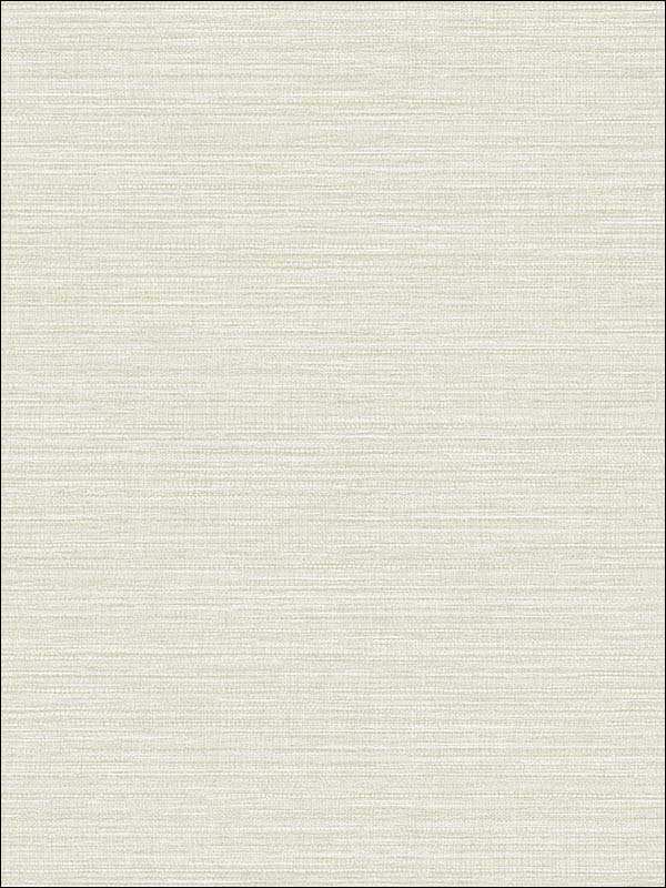 Grasscloth Effect fabric in soft grey color - pattern number RM80504 - by Casa Mia in the Quartz collection
