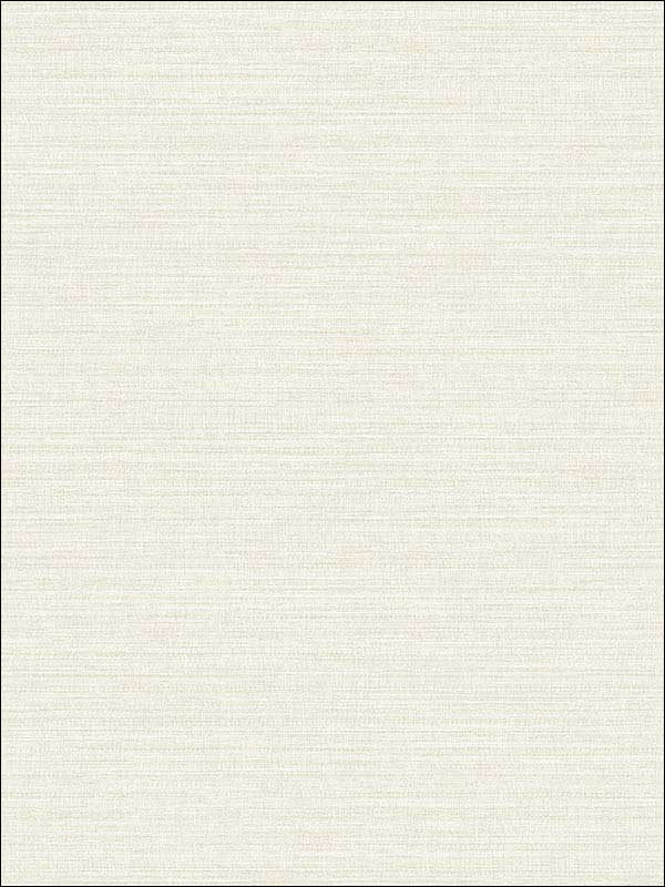 Grasscloth Effect fabric in cream color - pattern number RM80505 - by Casa Mia in the Quartz collection