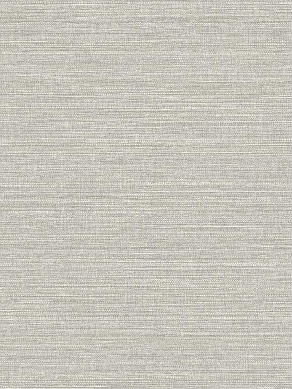 Grasscloth Effect fabric in grey color - pattern number RM80518 - by Casa Mia in the Quartz collection