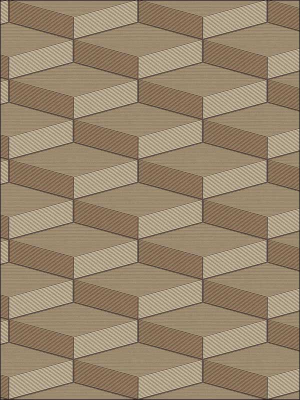 3D Geometric Cube fabric in beige brown dark brown color - pattern number RM40606 - by Casa Mia in the Titanium collection