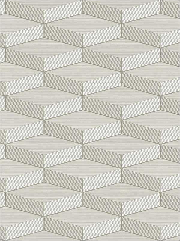 3D Geometric Cube fabric in white soft grey grey color - pattern number RM40610 - by Casa Mia in the Titanium collection