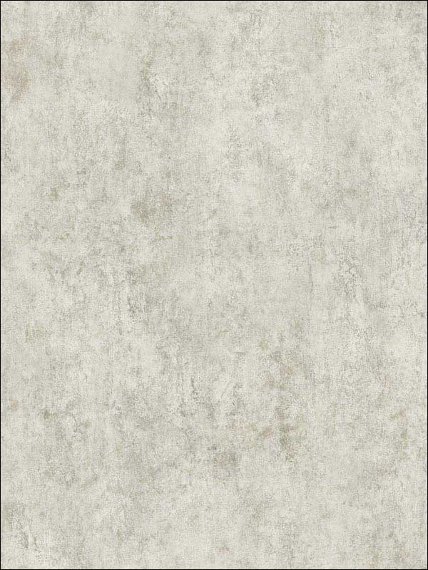 Faux Finish fabric in grey color - pattern number RM30108 - by Casa Mia in the Zinc by Casa Mia collection