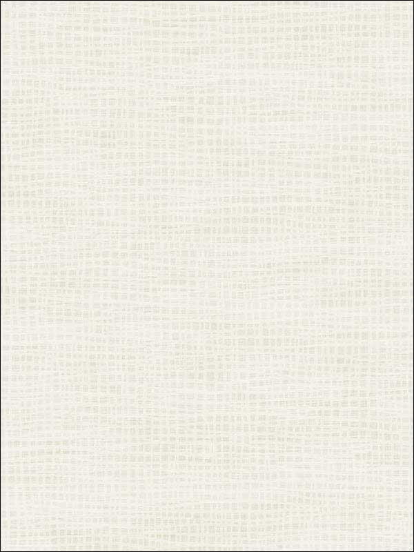 Woven Texture fabric in cream color - pattern number RM70305 - by Casa Mia in the Zircon collection