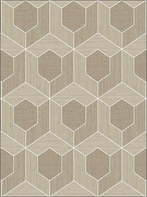 3D Hexagon fabric in soft brown color - pattern number RM70406 - by Casa Mia in the Zircon collection